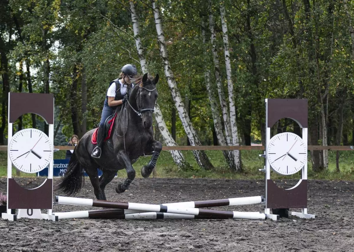 W sobotę na terenie Klubu Jeździeckiego Maciejówka MOSIR Zabrze odbyły się amatorskie zawody jeździeckie Pony Cup 2021 dla dzieci do lat 14.