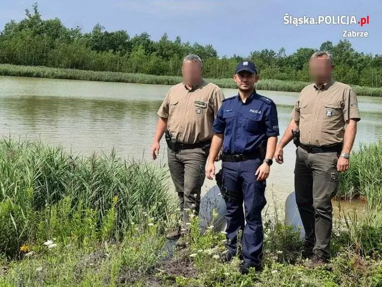 Zabrzańscy policjanci wspólnie ze Strażą Leśną patrolują lasy