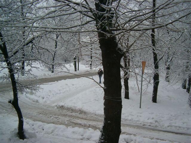 Zabrze - ulica M.C Skłodowskiej