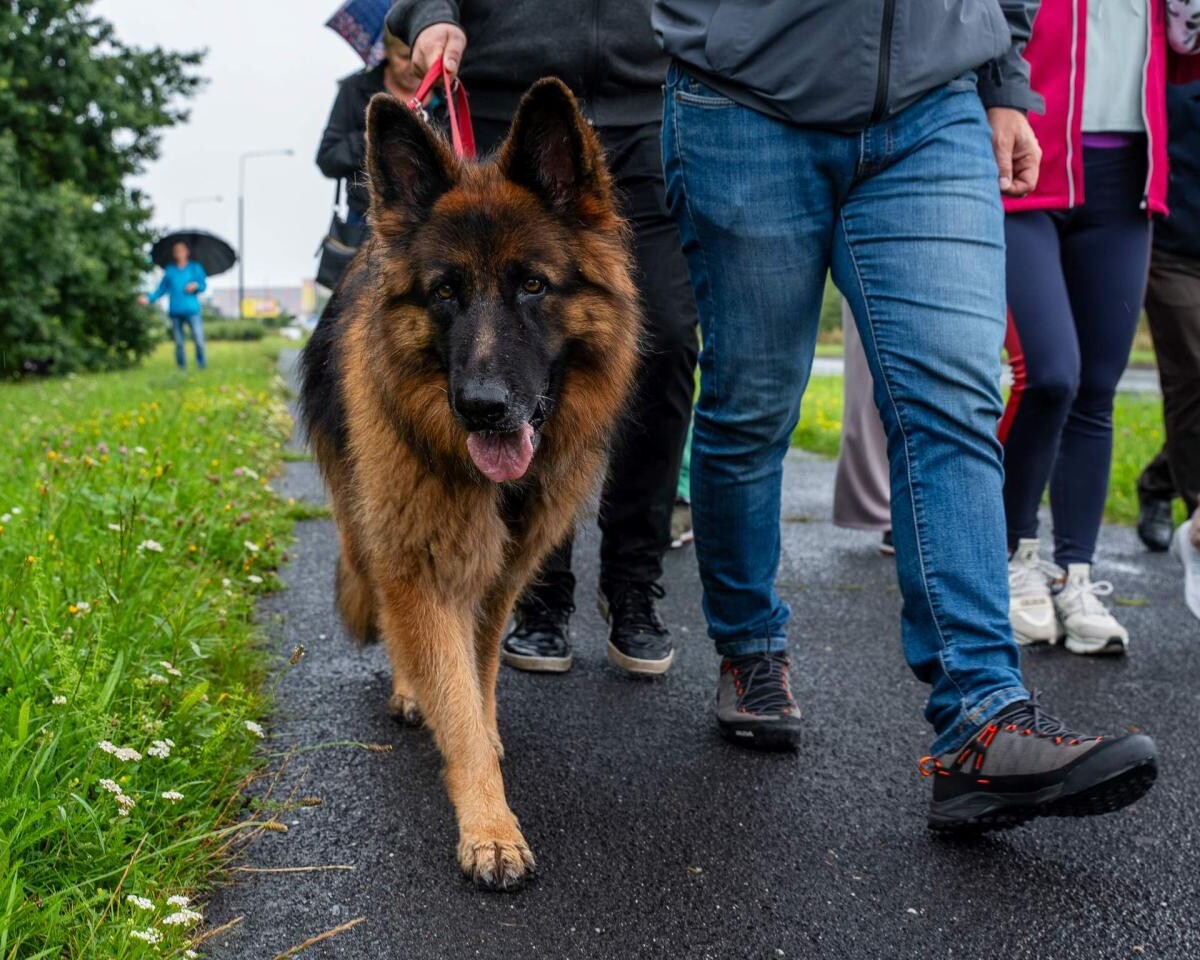 Za nami kolejny weekend pełen energii w Zabrzu / fot. UM Zabrze