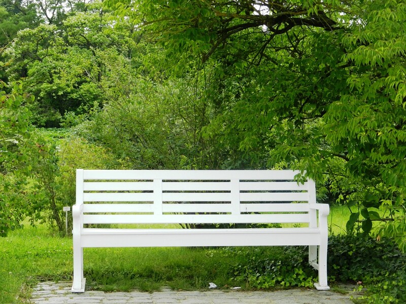 Zaprojektuj mini-ogród