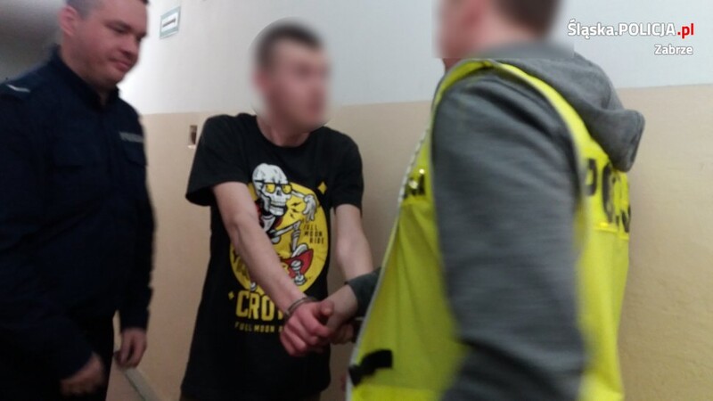 Zatrzymany za znieważenie interweniujących policjantów